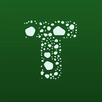 ТоргСтройСервис-02, оптовая компания, лого-визитка